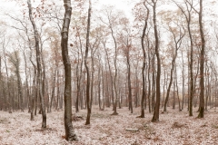 MG_4496-Pano