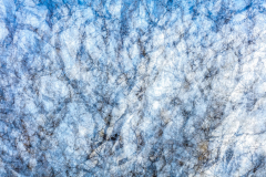 MG_6367-scaled