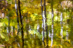 MG_6377-scaled