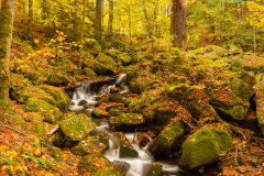 MG_6445-Pano-2