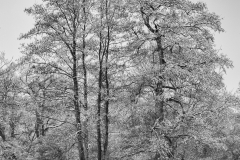 MG_7036-Bearbeitet