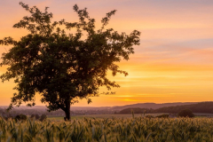 MG_9128-HDR-Pano-scaled