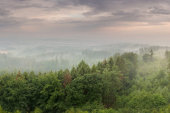 Nach dem Regen