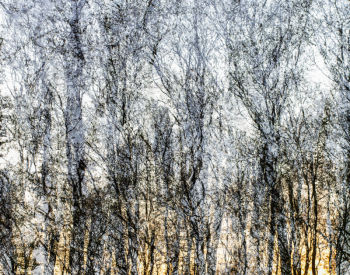 Recall-Natur-0169