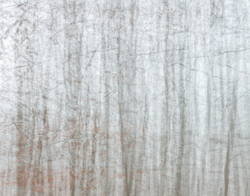 Recall-Natur-1187