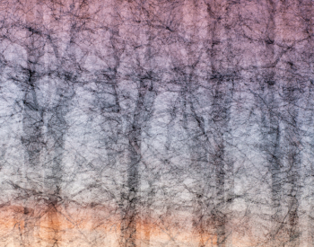 Recall-Natur-1287