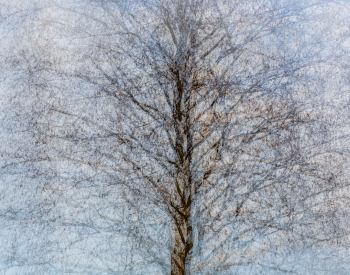 Recall-Natur-2126
