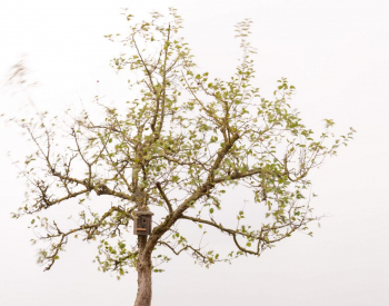Recall-Natur-6-scaled