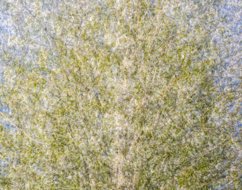 Recall-Natur-9061