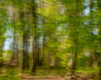 Recall-Natur-9733