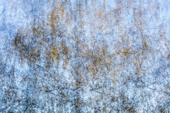 MG_6474