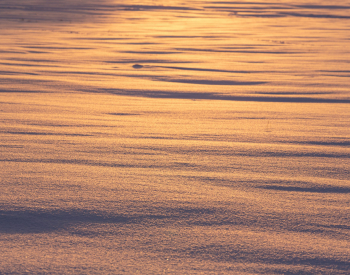 Homepage-Winter-1295-scaled