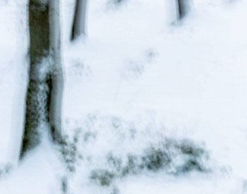 Homepage-Winter-1644-scaled