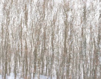 Homepage-Winter-1499-scaled
