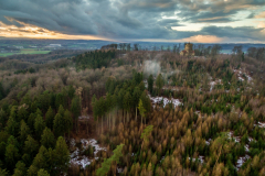Die Diedrichsburg von Osten aus gesehen